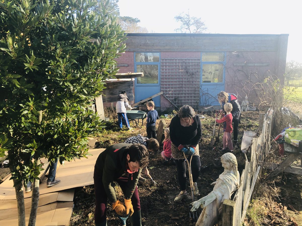 card-community-gardening-allotment